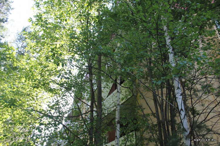 Расхераченный б.о. Изумруд