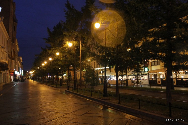 Питер. Ночной город и разводные мосты