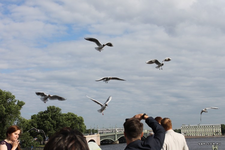 Питер. Петропавловская крепость и виды с нее Питер. Петропавловская крепость и виды с нее