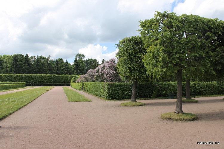 Питер. Петергоф и его знаменитые фонтаны