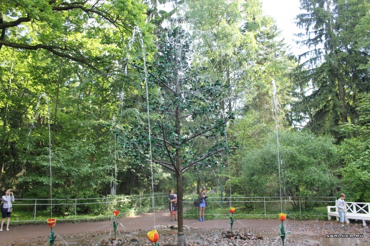 Питер. Петергоф и его знаменитые фонтаны