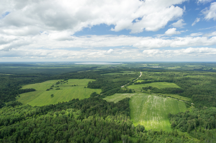 Мачта высотой 355 метров