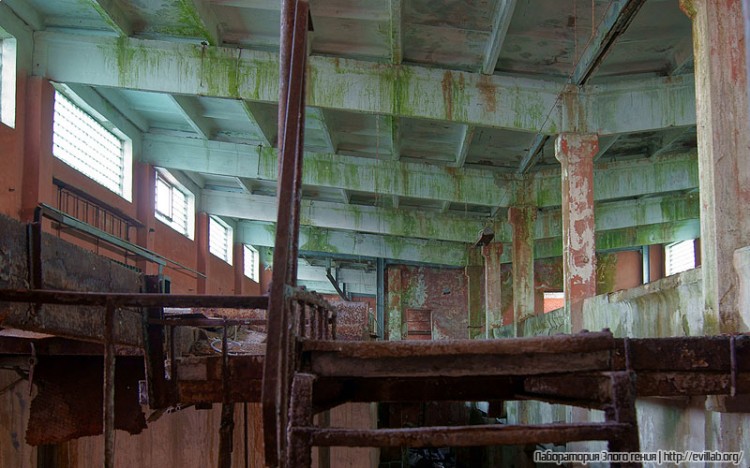 Завод искусственного волокна