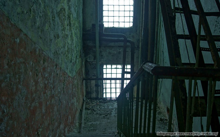 Завод искусственного волокна