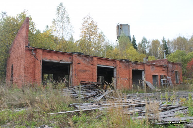 Заброшенная свиноферма