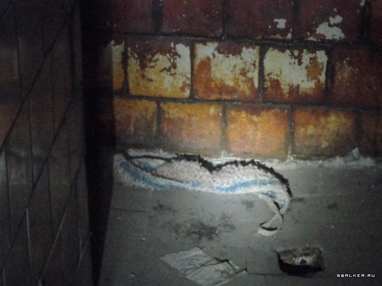 Заброшенная СВИНОФЕРМА, Дегтярск