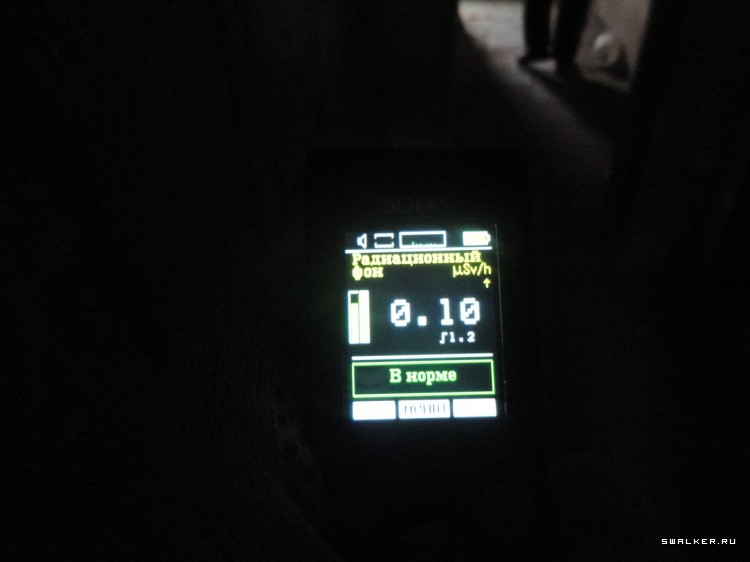 Заброшенная СВИНОФЕРМА, Дегтярск