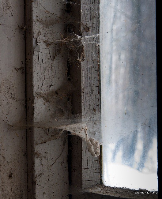 Заброшенный Дом