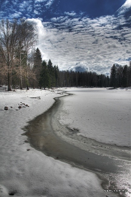 Заброшенный Дом