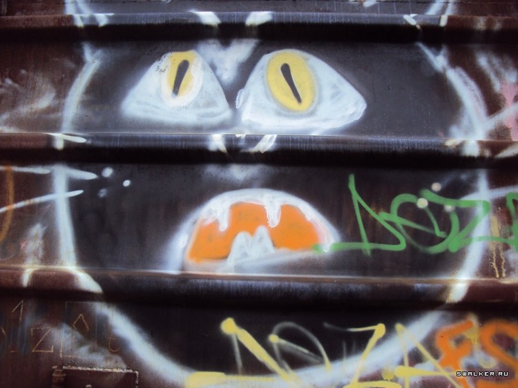 Заброшенное Плав. Средство