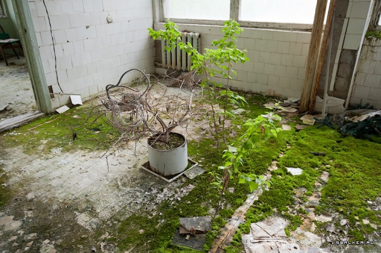 Химическая Лаборатория