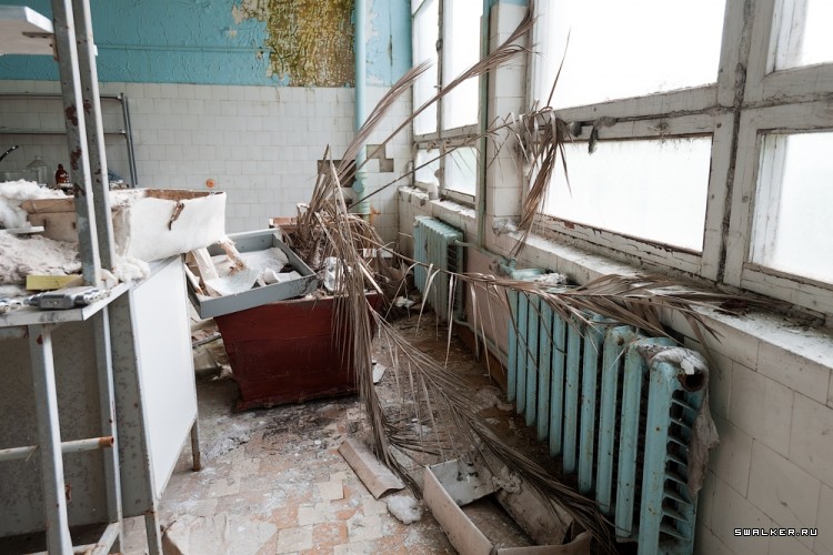 Химическая Лаборатория