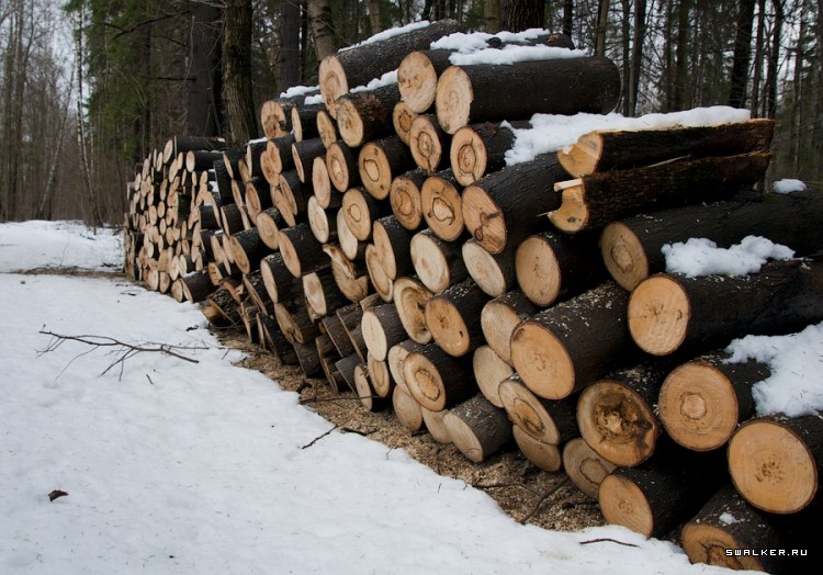 Заброшенный Дом