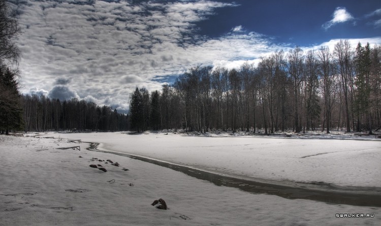 Заброшенный Дом