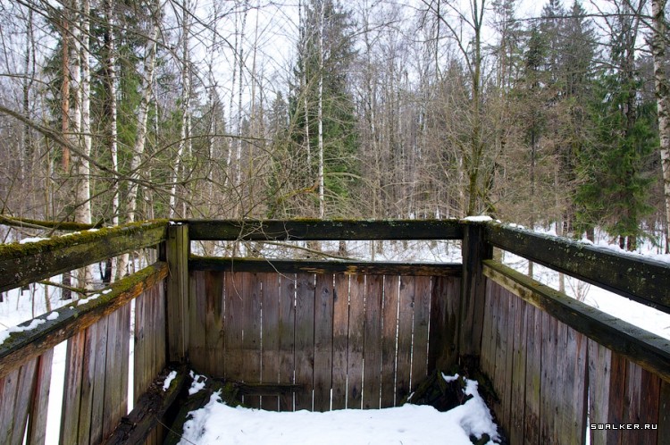 Заброшенный Дом