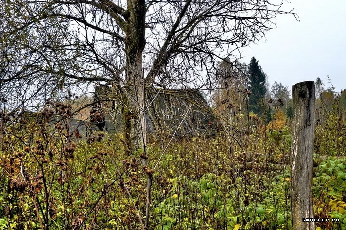 Заброшенная деревня Казаковка Заброшенная деревня Казаковка