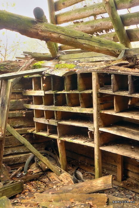 Заброшенная деревня Казаковка Заброшенная деревня Казаковка