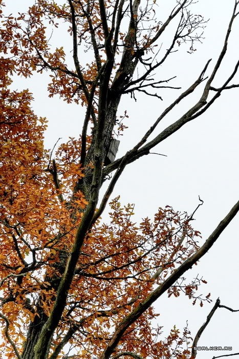 Заброшенная деревня Казаковка Заброшенная деревня Казаковка