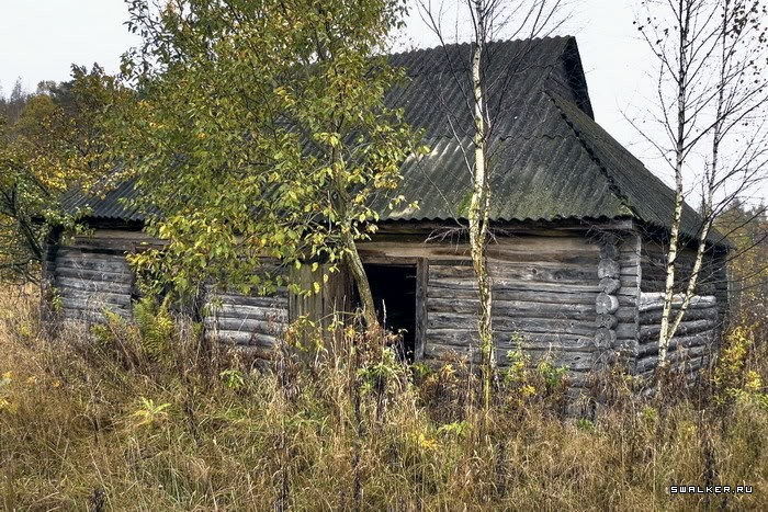 Заброшенная деревня Казаковка Заброшенная деревня Казаковка