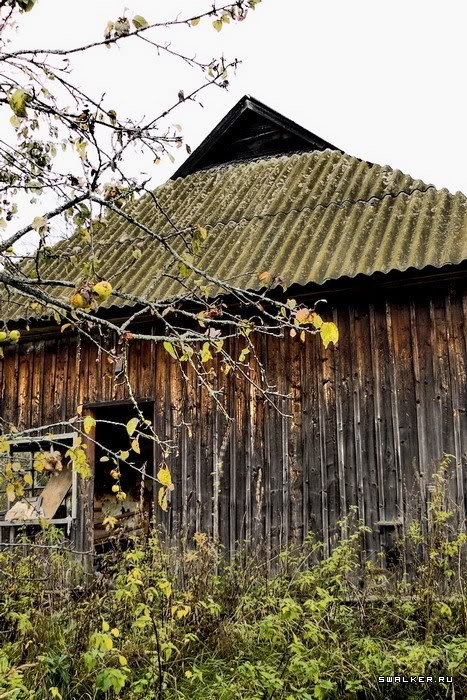 Заброшенная деревня Казаковка Заброшенная деревня Казаковка