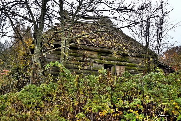 Заброшенная деревня Казаковка Заброшенная деревня Казаковка