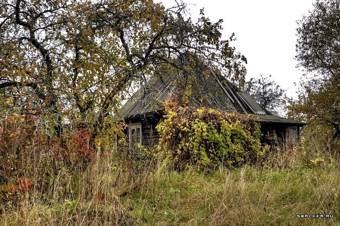 Заброшенная деревня Казаковка Заброшенная деревня Казаковка
