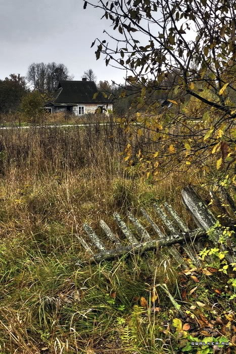 Заброшенная деревня Казаковка Заброшенная деревня Казаковка