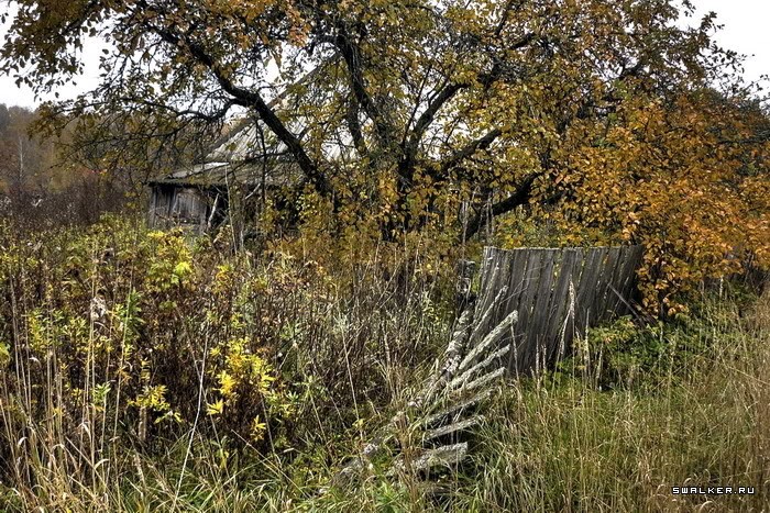 Заброшенная деревня Казаковка Заброшенная деревня Казаковка