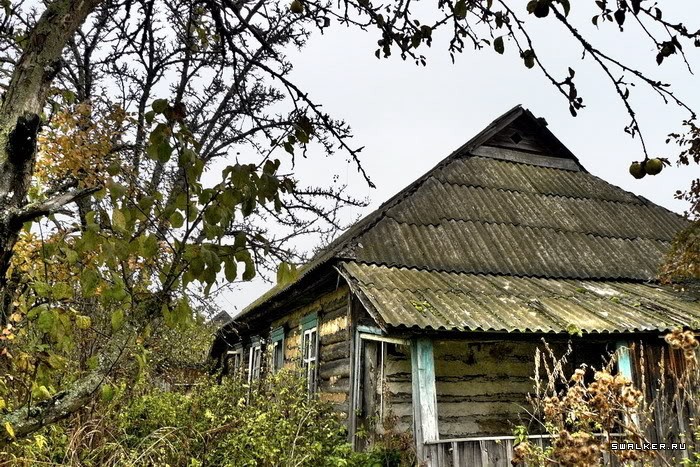 Заброшенная деревня Казаковка Заброшенная деревня Казаковка