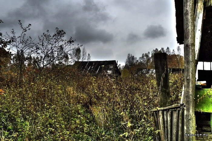Заброшенная деревня Казаковка Заброшенная деревня Казаковка