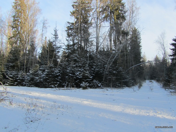 Брошенная военная часть с-25. Московская область. Часть 1