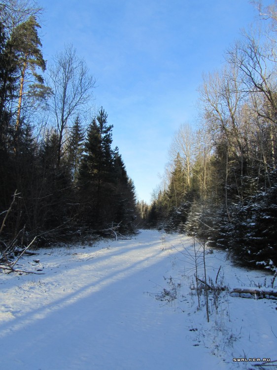 Брошенная военная часть с-25. Московская область. Часть 1