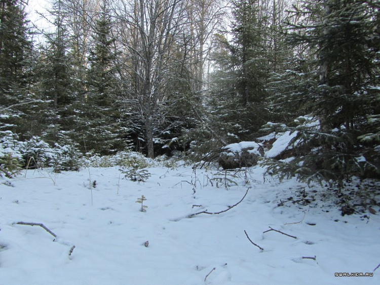 Брошенная военная часть с-25. Московская область. Часть 1