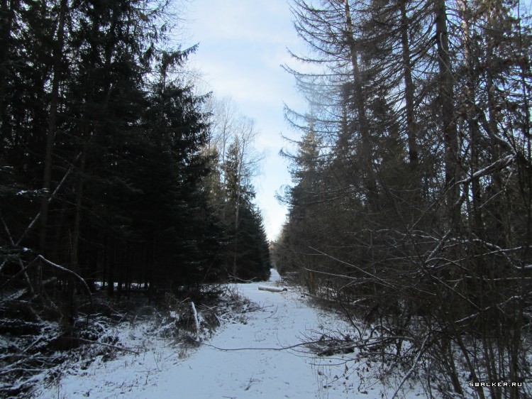 Брошенная военная часть с-25. Московская область. Часть 1
