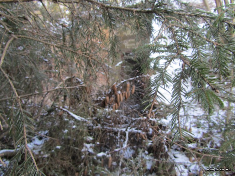 Брошенная военная часть с-25. Московская область. Часть 1