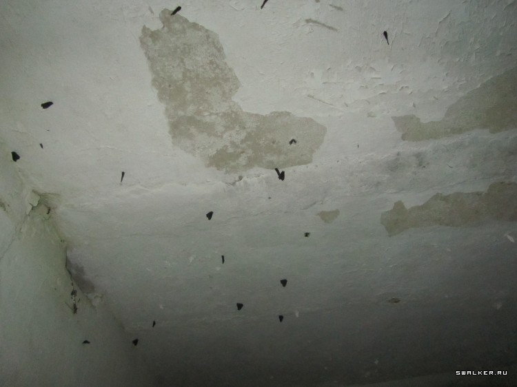 Брошенная военная часть с-25. Московская область. Часть 1 Брошенная военная часть с-25. Московская область. Часть 1