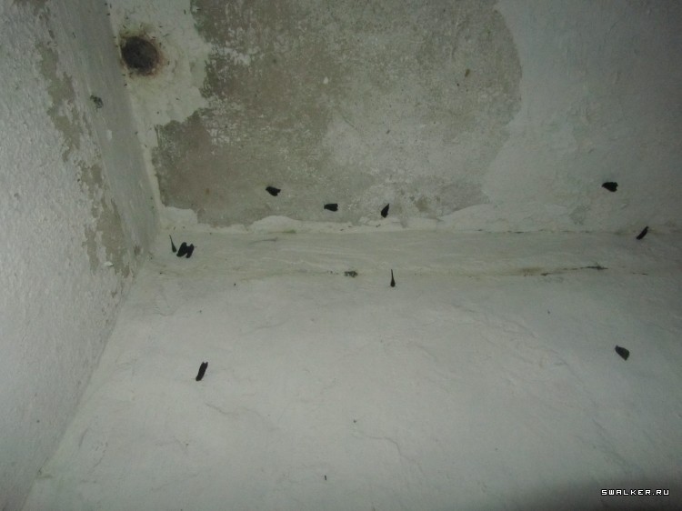 Брошенная военная часть с-25. Московская область. Часть 1 Брошенная военная часть с-25. Московская область. Часть 1