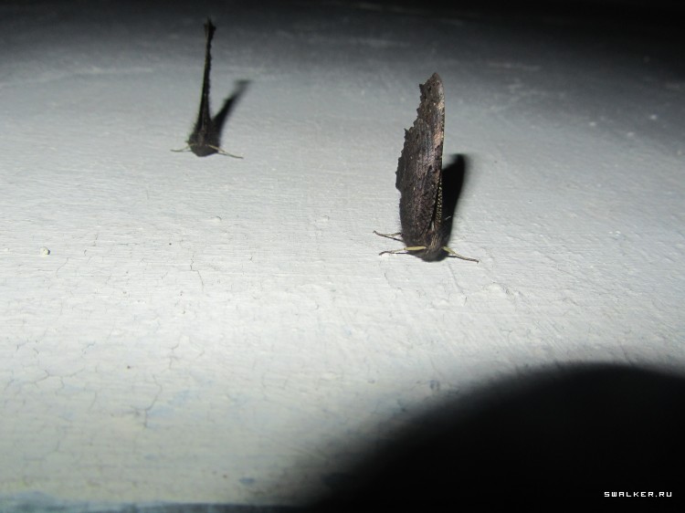 Брошенная военная часть с-25. Московская область. Часть 1 Брошенная военная часть с-25. Московская область. Часть 1