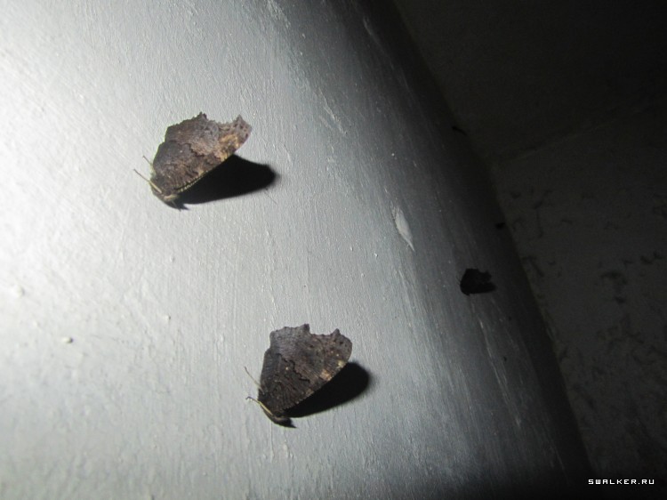 Брошенная военная часть с-25. Московская область. Часть 1 Брошенная военная часть с-25. Московская область. Часть 1