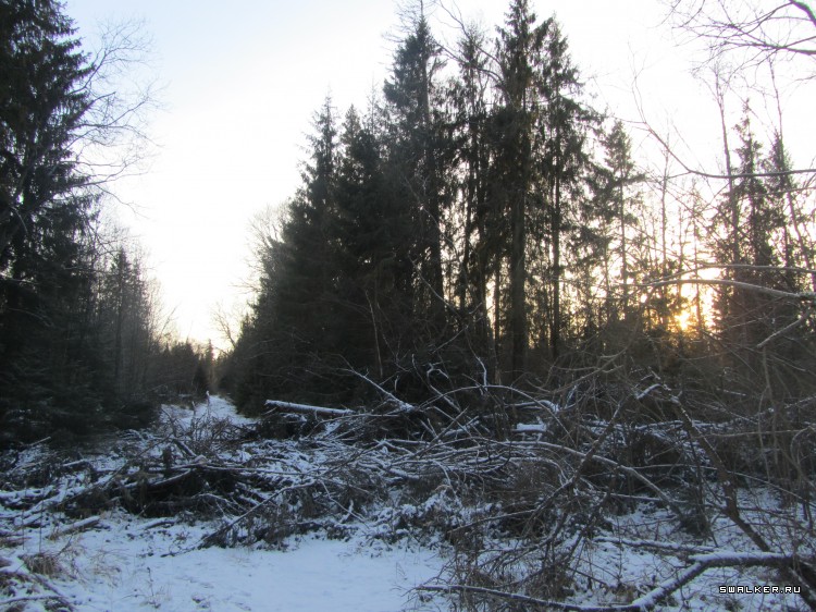 Брошенная военная часть с-25. Московская область. Часть 1 Брошенная военная часть с-25. Московская область. Часть 1