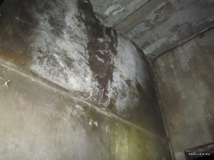 Брошенная военная часть с-25. Московская область. Часть 1 Брошенная военная часть с-25. Московская область. Часть 1