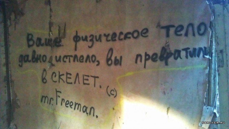 Лесной дом Лесной дом