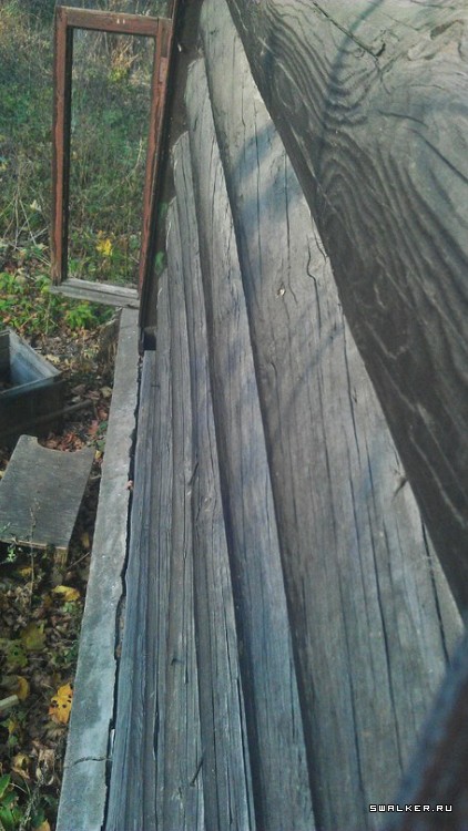 Лесной дом Лесной дом