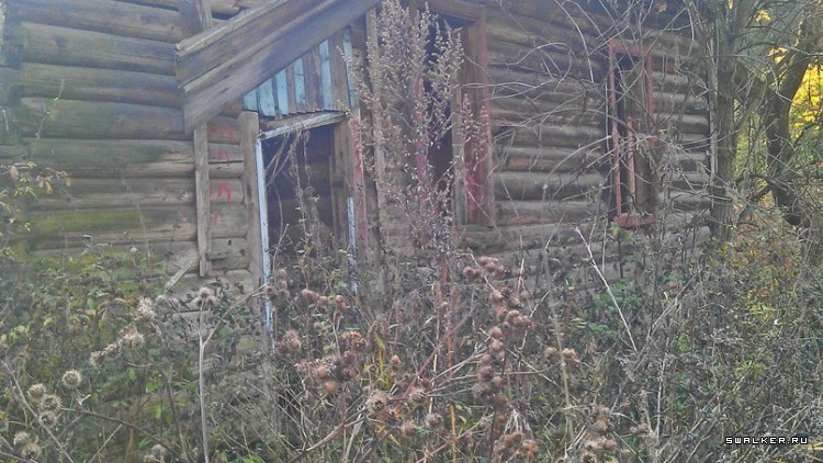 Лесной дом Лесной дом