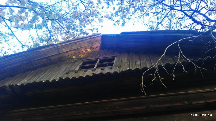 Лесной дом Лесной дом