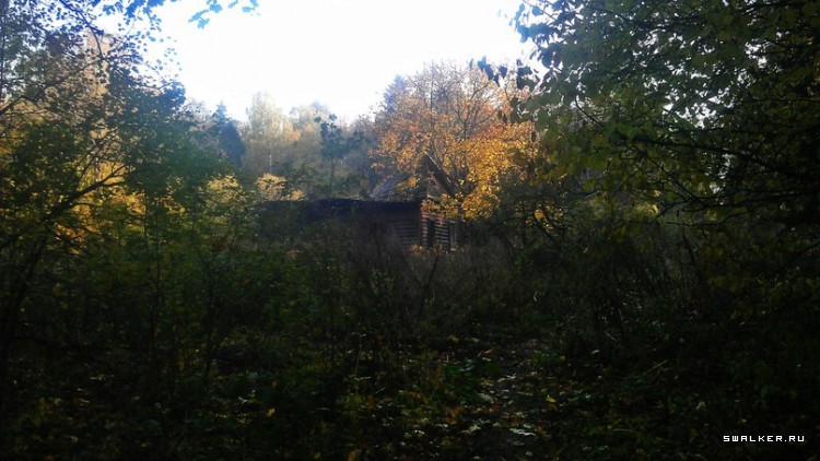 Лесной дом Лесной дом