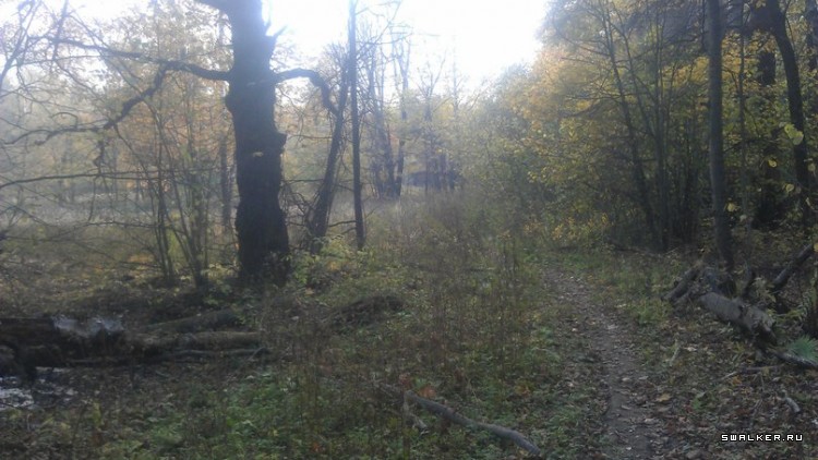 Лесной дом Лесной дом