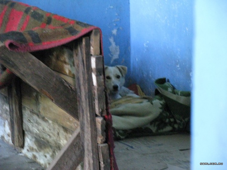 Заброшенный морг