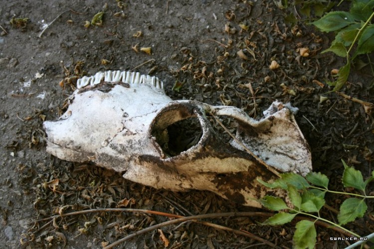 Склады Склады