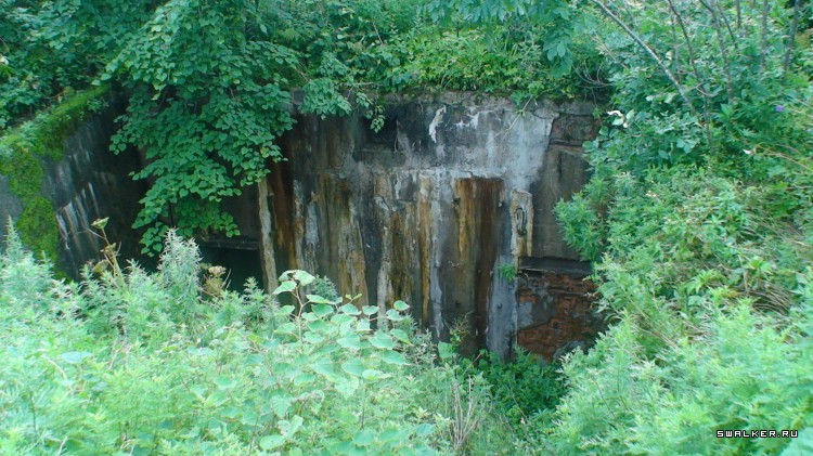 Береговая батарея № 982. Остров русский